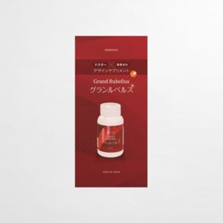 三つ折りパンフレット グランルベルス