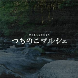 事業ブランディング